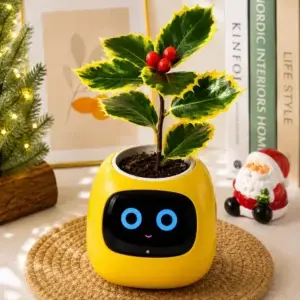 Smart Emoji Plant Pot